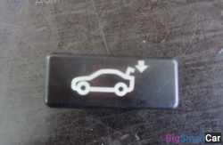 Кнопка багажника (61 Общее э/оборудование автомобиля) 61319200316 - купить Ахтарском